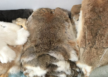 China Coat Lining Whole Rex Rabbit Skin Real Soft Fluffy Heavy Density For Winter supplier