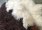 Long curly Sheepskin Material Natural White Tibetan lambswool Mongolian fur hides supplier