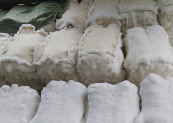 30*40cm Rex Rabbit Fur Skins Warm Soft , Chinchilla Rex Fur With Natural / Dyed Color