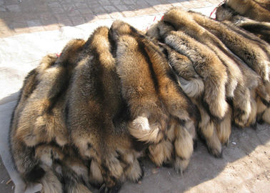 China 100% Real Natural Raccoon Fur Pelt Detachable Lush Soft For Clothes Hood supplier