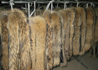 China Raccoon fur collar tanned raccoon dog real fur skin long hair Chinese Raccoon fur supplier