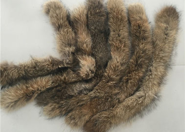 China Coat Genuine Large Raccoon Fur Collar Warm Soft With Natural Brown Color supplier