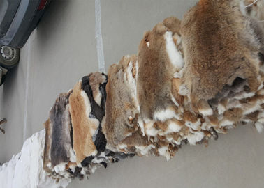 China Coat Lining Accessories Rex Rabbit Skin Smooth Natural Brown Color 25*35cm supplier