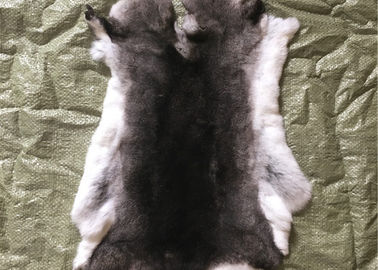 China Light Grey Rex Rabbit Fur Neck Warmer , Real Rex Rabbit Pelts Skin For Plate Blanket supplier