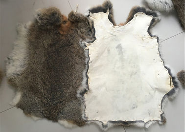 China Eco Friendly Tanned Rex Rabbit Skin 1.5-3 Cm Fur Length For Home Textile / Pillows supplier