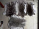 30*40cm Rex Rabbit Fur Skins Warm Soft , Chinchilla Rex Fur With Natural / Dyed Color supplier