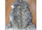 Soft Warm Cozy Australian Sheepskin Rug Handmade For Children Room Fun Time supplier