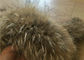Raccoon Fur Collar Soft fluffy Smooth Natural Color Large Long Collar Detachable For Winter Jacket supplier