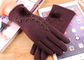 Micro Velvet Womens Fleece Gloves , Soft Smatouch Gloves With Fur Lining supplier