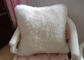 Shearling Sheepskin Lambswool Seat Cushion Double Sided For Bed / Sofa Decorative supplier