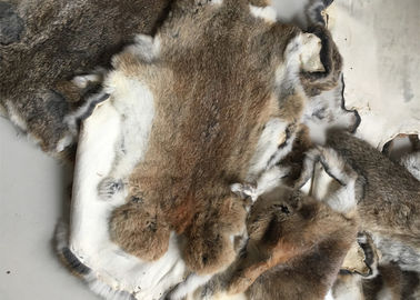 Tanned Grass Rex Rabbit Skin Fur Customized Size For Accessories / Clothing supplier