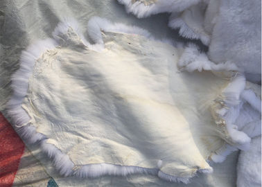 100% Real Rex Rabbit Scarf Rabbit Fur , Genuine Dyed Mint Rabbit Fur Pelts For Home Rug supplier