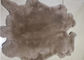SGS Real Tanned Rex Rabbit Skin With 2-2.8cm Hair Length Winter Design supplier