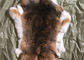 Natural Chinchilla Rex Rabbit Fur , Soft Genuine Sheared Rabbit Fur Jacket Hide supplier