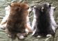 White Fluffy Hairs Rex Rabbit Skin Fur Hides Warm Comfortbale For Garments supplier