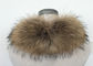 Raccoon Fur Collar Soft fluffy Smooth Natural Color Large Long Collar Detachable For Winter Jacket supplier