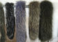 Fluffy Authentic Raccoon Fur Collar , Natural Color Raccoon Fur Hood Trim For Women supplier