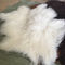 Tibetan lambswool rug Long hair Sheepskin Dyed Mongolian lamb fur plate rug carpet supplier
