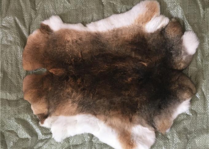 Coat Lining Whole Rex Rabbit Skin Real Soft Fluffy Heavy Density For Winter